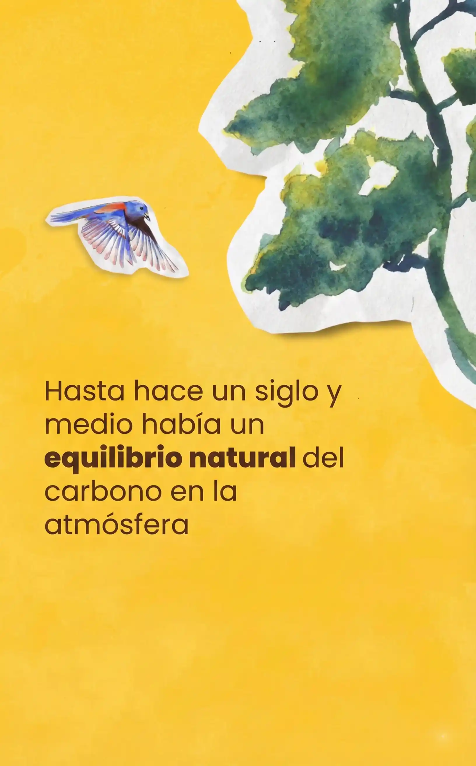 Contenido visual para campaña de alcance orgánico